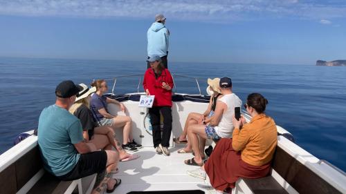 Sea observation during the dolphin watching tour in the Gulf of Alghero