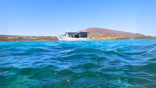 Navigazione nel golfo verso l'isola dell'Asinara