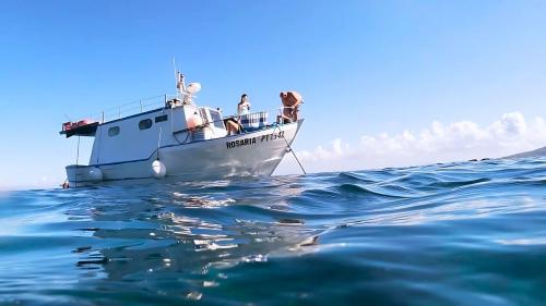 Navigazione nel golfo verso l'isola dell'Asinara