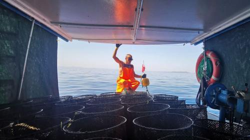 Pescatore a bordo del peschereccio nel golfo dell'Asinara