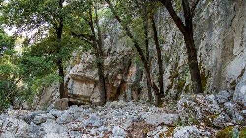 Paesaggio roccioso nel Supramonte di Oliena
