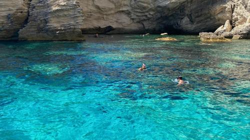 Snorkeling nelle acque turchesi nel sud della Corsica