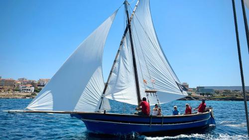 Latin sailboat sailing in the sea of Alghero