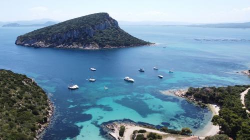 Vista dall'alto della Baia di Cala Moresca con isola di Figarolo 