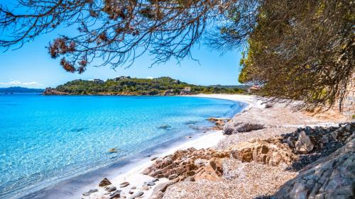 View of the beach of Cala Santa Maria