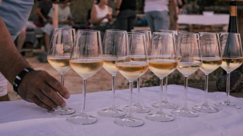 Calici di vino Vermentino durante una degustazione a Castelsardo