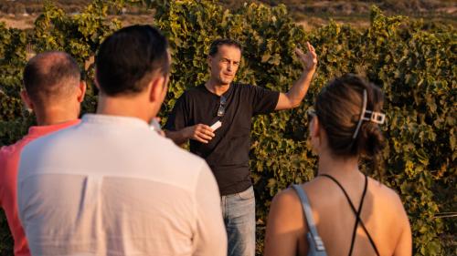 Il padrone di casa spiega come viene coltivato il vino nel vigneto