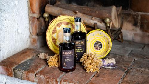 Liqueurs produced in a company in Laconi where it is possible to do a guided tasting