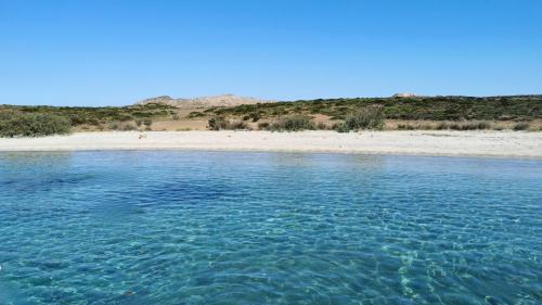 Beach and crystal clear waters of the Asinara National Park