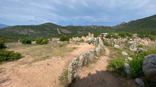 Domus de janas de Osono