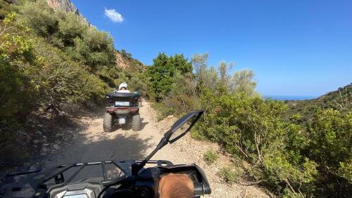 Group of quad bikes crosses a dirt road in Ogliastra