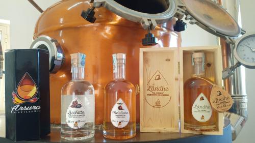 Production of unique distillates from the fruits of the forest of north-eastern Sardinia