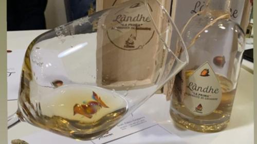 Degustazione di distillati unici al mondo con ghiande, more e frutti di bosco 