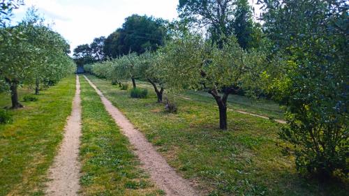 Campagne entourée de verdure dans les montagnes du nord-est de la Sardaigne