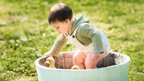 Child plays with a chick on a farm surrounded by greenery in the Olbia area