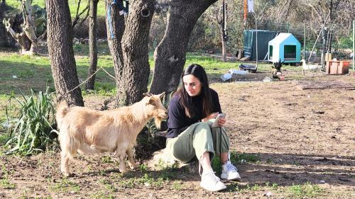 Mädchen und Ziege auf einem Bauernhof in der Region Olbia