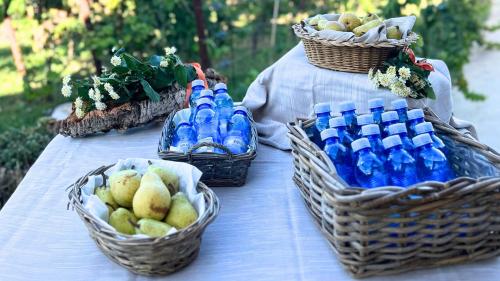 Water and fruit served during picnics in nature in north-eastern Sardinia