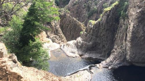 Natura e rio Piricanes