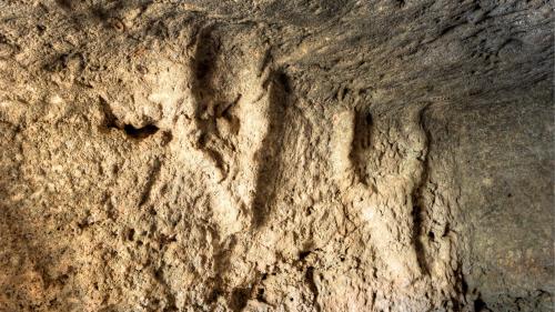 Simboli enigmatici con i tori in un sito archeologico del nord ovest Sardegna