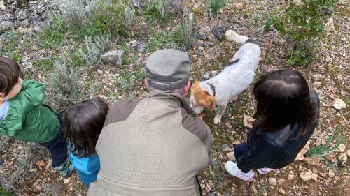 Kinder beobachten den ausgebildeten Hund bei der Suche nach Trüffeln im Wald von Laconi