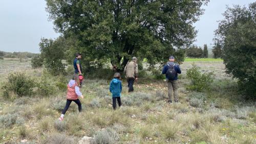 Group of people during a truffle hunt in Laconi