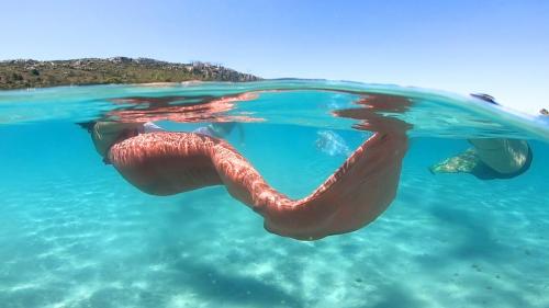 Tourist schwimmt mit Meerjungfrauenschwanz im Meer des Golfs von Cagliari