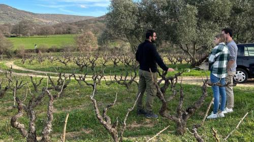 Visita al vigneto di famiglia di una cantina a Mamoiada