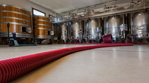 Wine barrels at a winery in Mamoiada