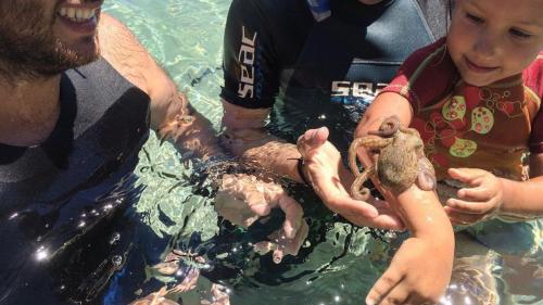 Kind mit einem Tintenfisch auf der Hand im kristallklaren Wasser von Cala Gonone