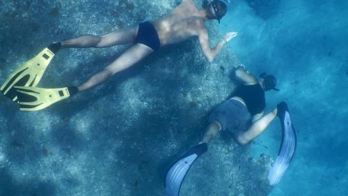 Two people snorkeling in the rocky seabed of the Gulf of Orosei