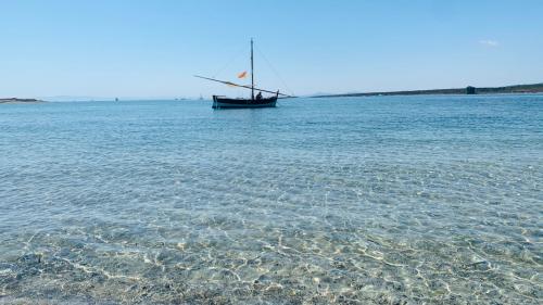 Boot im kristallklaren Wasser der Asinara