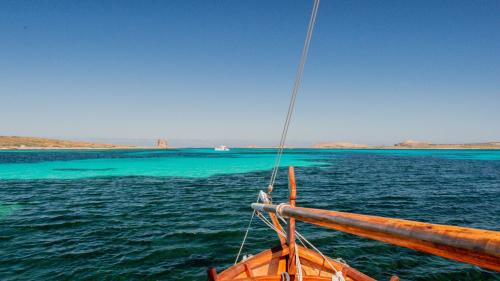 Das kristallklare Wasser des Meeres von Stintino mit dem Turm von Pelosa und der Insel Piana im Hintergrund