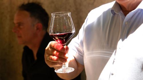 Un signore regge un calice di vino rosso durante la degustazione