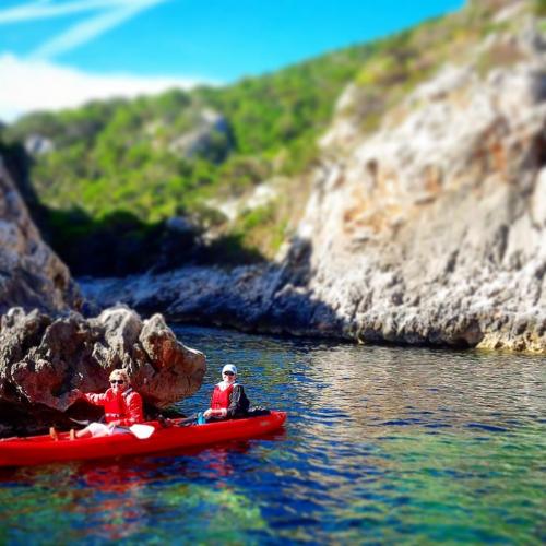 Gens en kayak en excursion d'une journée