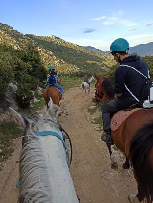 Group of people on horseback on the sunrise hike in Orosei