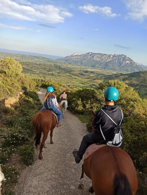 Horseback riding in the hills of the Orosei area