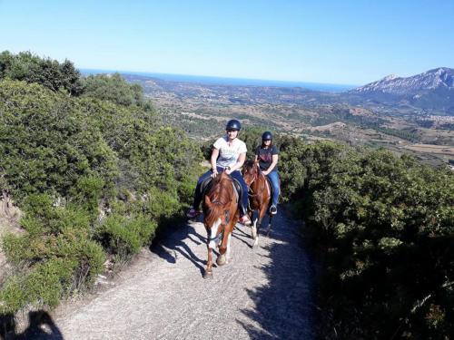 Horses and people during a hike in the Orosei hills