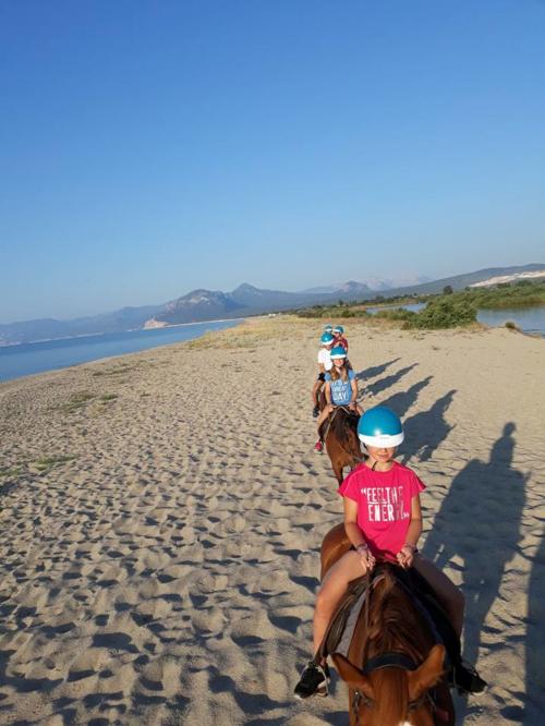 Excursion to the beach in Orosei on a summer day