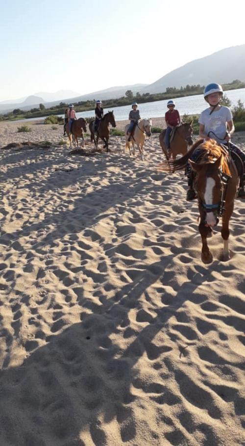 Chevaux sur la plage pendant l'excursion à Orosei 