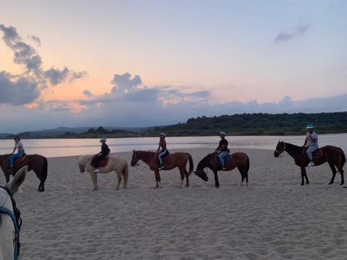 Chevaux lors de la randonnée au lever du soleil sur la plage d'Orosei