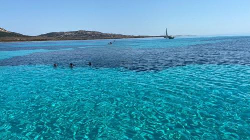 Kristallklares Wasser auf der Insel Asinara im Nordwesten Sardiniens