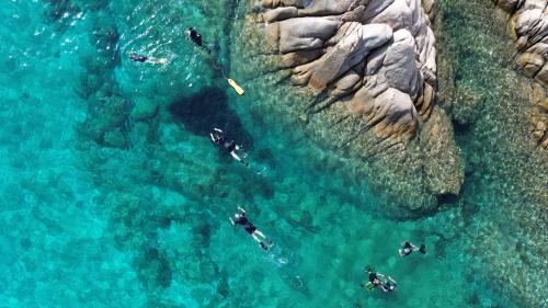 Snorkeling in the coast of Molara