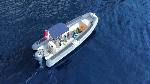 Inflatable boat stops in the blue water of Tavolara