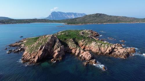 Islet of the coast of San Teodoro