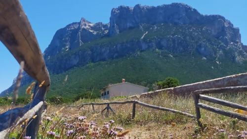 Percorso trekking a Tavolara nella Sardegna nord orientale