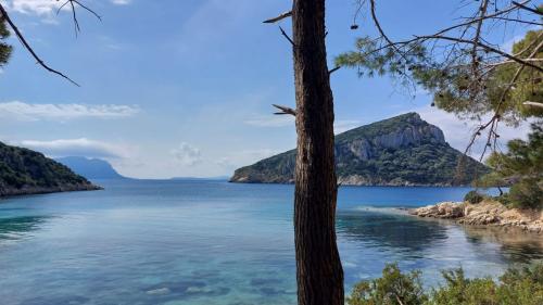 Die Natur und das kristallklare Wasser der Cala Moresca in Golfo Aranci