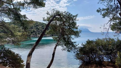 Unberührte Natur in Cala Moresca bei Olbia