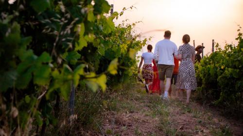 People during a visit to the vineyard in the Palau area