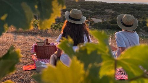 Due ragazzi fanno un pic nic nel vigneto al tramonto nella tenuta a Palau