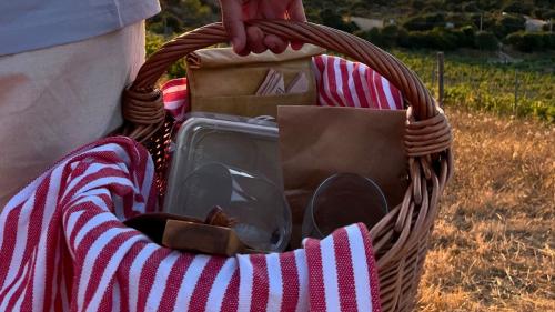 Picnic basket at the Palau estate